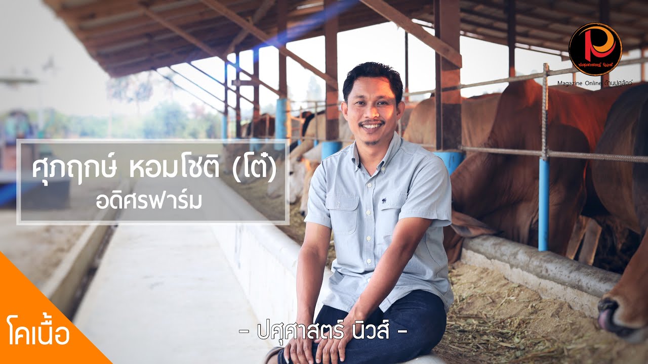 อดิศรฟาร์ม (เพชรบุรี) ขุนวัวกว่า 700 ตัว ป้อนตลาดเนื้อโคขุนคุณภาพ - ปศุศาสตร์ นิวส์