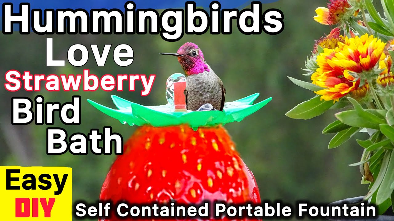 How to Make Portable Water Feature: Easy DIY Guide for Your Garden