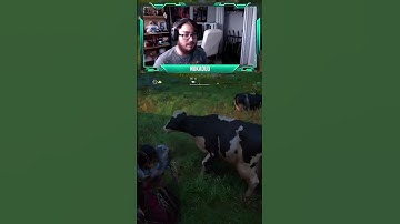 click for cow #shorts #assassinscreedvalhalla #eivor #assassinscreed #cow #cows #meme #humor #memes