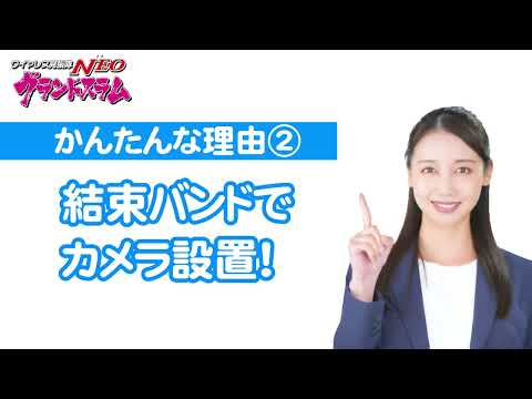 動画