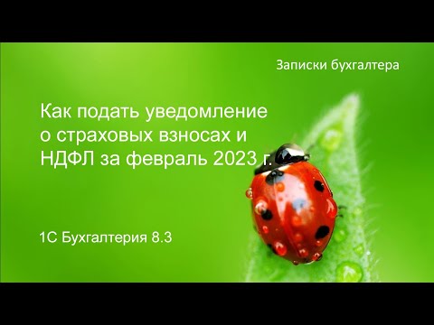 Как подать уведомление по страховым взносам и НДФЛ за февраль 2023 г в 1С БП 8.3