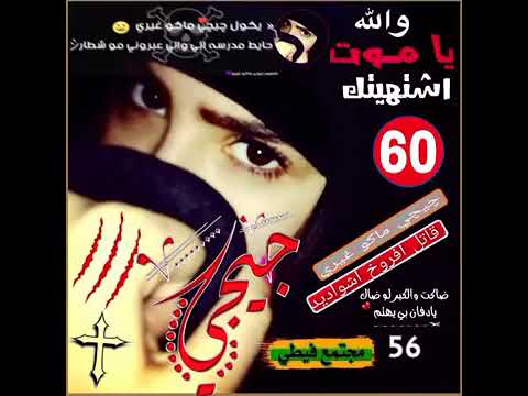 شد جيجي ماكو غيري