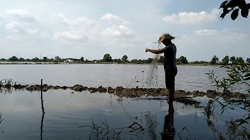 Giăng lưới bắt cá mùa nước nổi và cái kết ăn ốc bươu vàng
