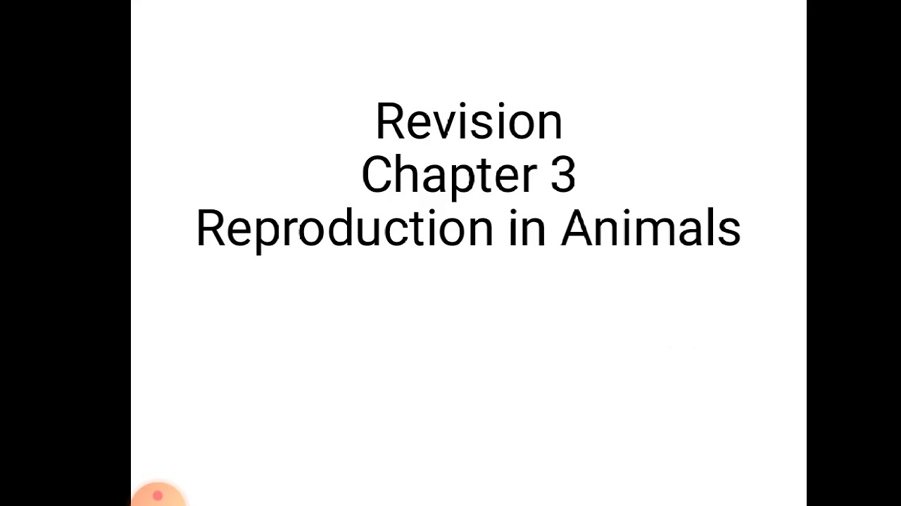 Class 4 Science Chapter 3 - YouTube