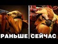 5 ГЕРОЕВ СМЕНИВШИХ ВНЕШНОСТЬ В DOTA 2 [#4]