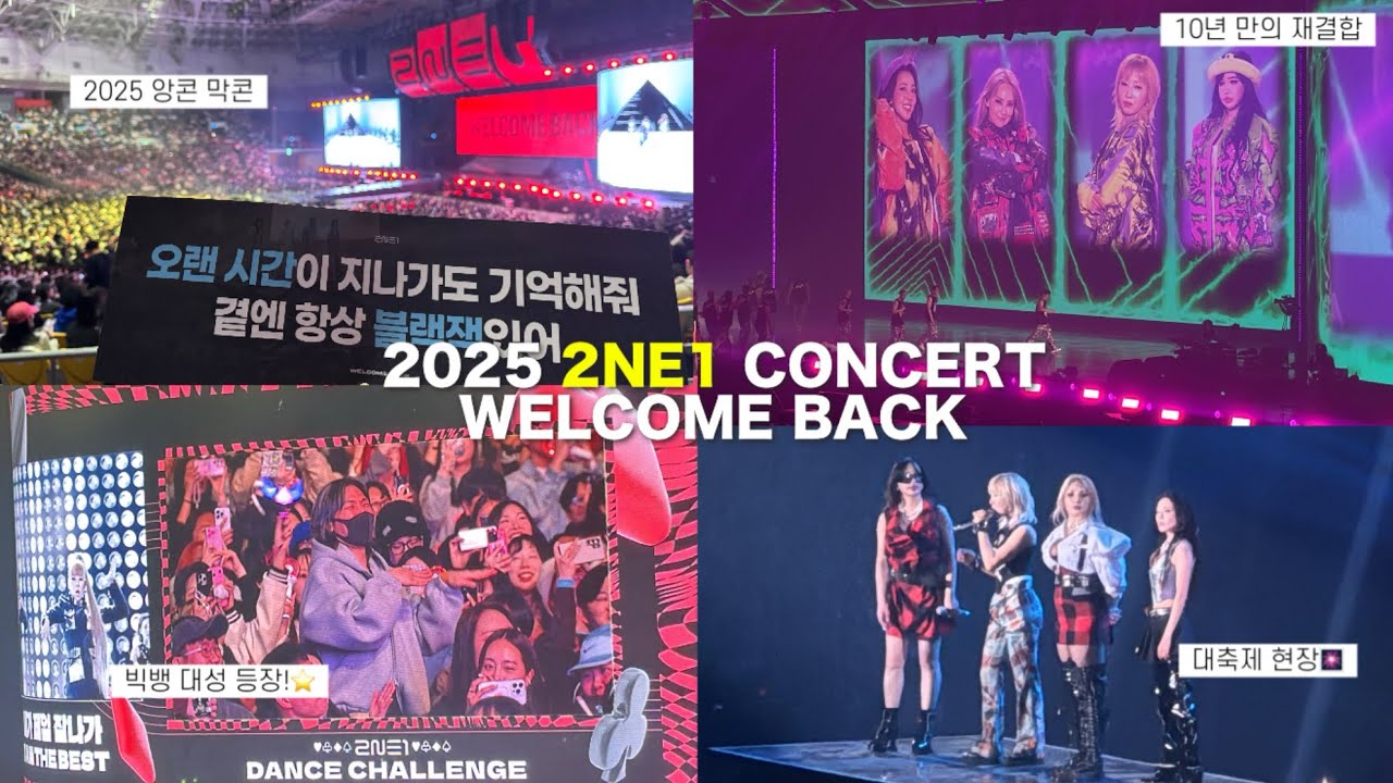 [FULL] 2025 투애니원 콘서트 직캠 | 시작부터 눈물광광😭 | 광란의 축제 | 2NE1 ENCORE CONCERT | 250413