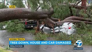 Storm topples massive tree in Inglewood, crushing car and damaging home