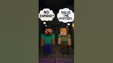 These two 😂 #minecraft #hermitcraft #roblox #pubg #steve #alex #creeper #golem #villager