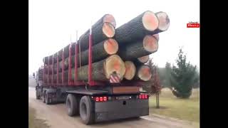 Awesome Extreme Big Truck Wood Transport​​ Fails & Biggest screenshot 4