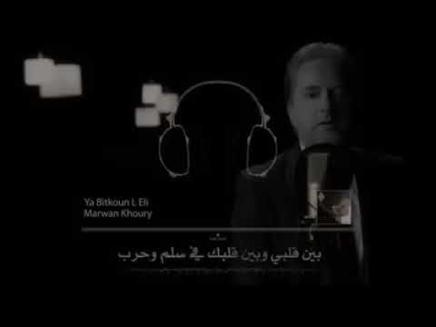 بين قلبي و بين قلبك في سلم و حرب