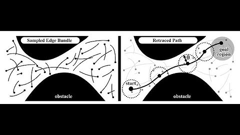 Asymptotically Optimal Kinodynamic Motion Planning with Bundles of Edges