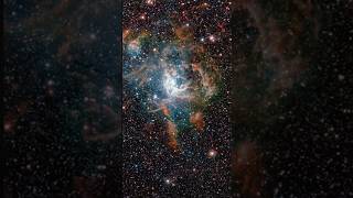 Zooming-in on the Tarantula Nebula with radio wavelengths
