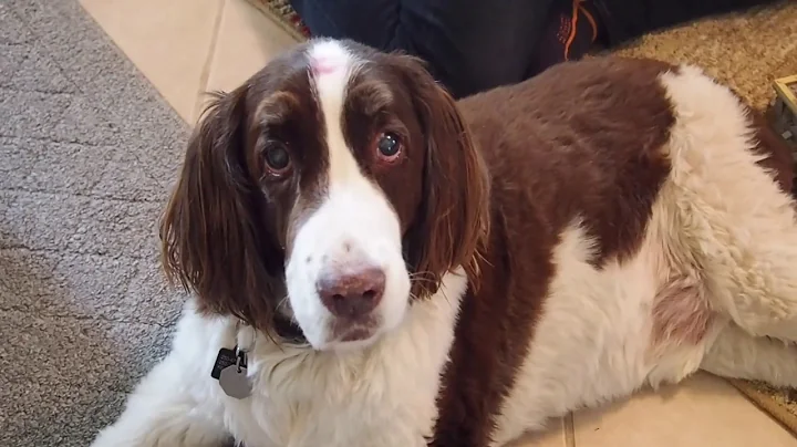 LEGO Harry Potter: Hogwarts Castle Pt.2 || 6020 pieces