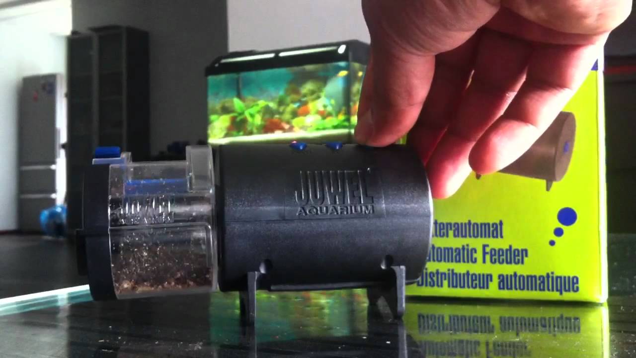 juwel auto fish feeder