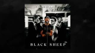 Video thumbnail of "Crossing Belt - Black Sheep (Official Audio)"