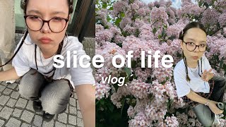 slice of life vlog
