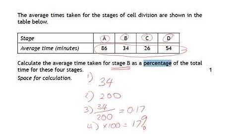 n5 percentages and percentage increase and decrease