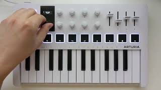 Rammstein - Wilder Wein Arturia Minilab Cover