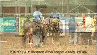 Shiners Hot Flash LO Hackamore Finals - 2009 World Champion!