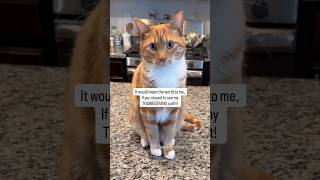 His Gles So Fluffing Cute