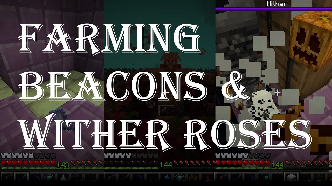 Either Roses Farming Beacons & Wither Roses - YouTube