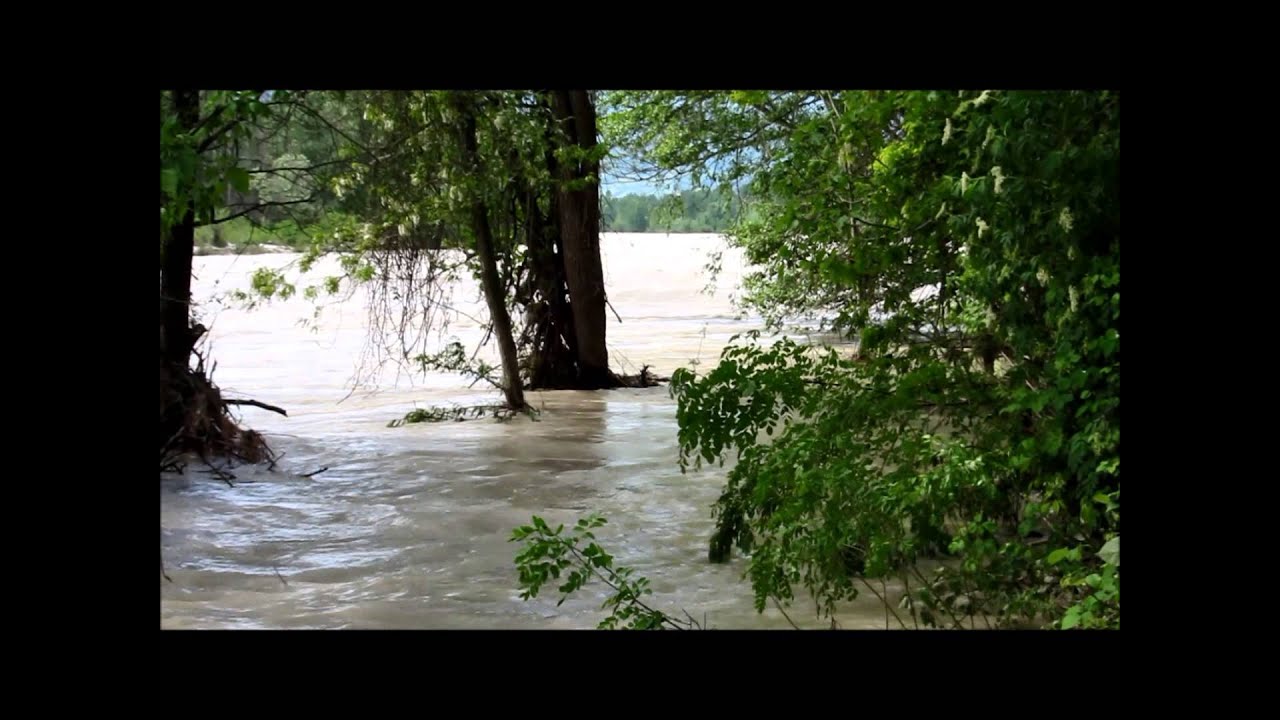 Eccezionale piena del Piave - 18 maggio 2013