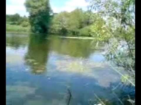 Улов опытных рыболовов за 30 минут.avi