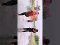 short clip gaon ka desi video maarta #funny