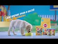 Ball Biting Puppyonship Pedigree Commercial For Russia English Subs Ball Biting Puppyonship Pedigree Commercial For Russia English Subs