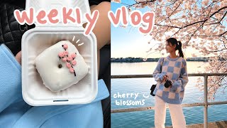 weekly vlog  home makeover, new furniture, DC cherry blossom festival, spring ootds, museums
