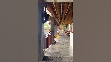 Spectacular Infinity Pool in Ubud, Bali! 💦🍃#shorts #shortvideo #shortsvideo