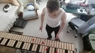 J.S. Bach Pedal Exercitium on Xylosynth (E-Marimba) screenshot 3