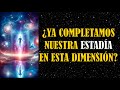 &quot;¿Por qué esta es la última encarnación en la tercera dimensión?&quot;