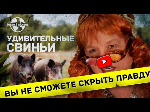 Удалённая нарезка Траволты (удивительные свиньи)