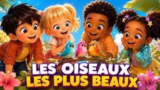 Les Oiseaux Les Plus Beaux Comptine Dansante Pour Enfants