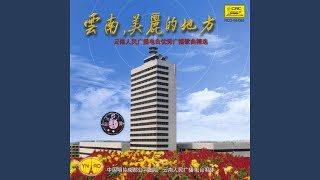The Mountain Kids - Various