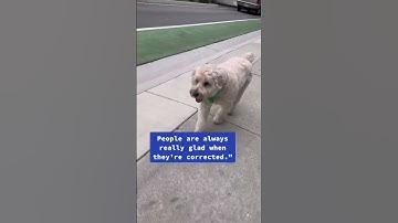 The Simpsons Taught Me… Sarcasm 🐶 @TheJessiiShow #TheManniiShow.com/series