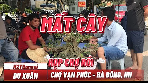 ANH VỜI MẤT CÂY RỒI - CHỢ VẠN PHÚC ĐÃ HỌP TRỞ LẠI, BÁO GIÁ NHIỀU CÂY ĐẸP QUÁ