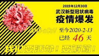2020年 2 月12日武汉冠状病毒大流行第19季