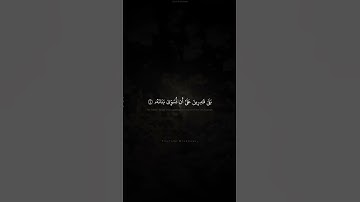 بَلَىٰ قَـٰدِرِينَ عَلَىٰٓ أَن نُّسَوِّىَ بَنَانَهُۥ  |  القارئ محمد صديق المنشاوي  |  سورة القيامة