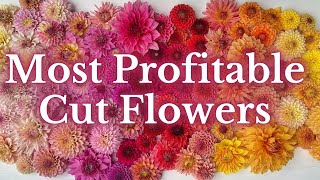 InDemand Blooms: Discover Our Top 6 Most Profitable Cut Flowers For 2022 | PepperHarrowFarm.com