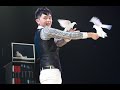 Dove Magic - Jonas Chen (Taiwan) 鴿子魔術 陳景弘