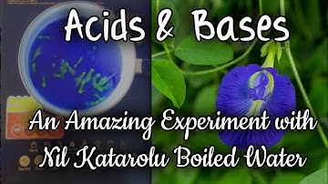 An Amazing Experiment with Butterfly pea Flowers Boiled Water | Acids and Bases |  Grade 07 | Osanda