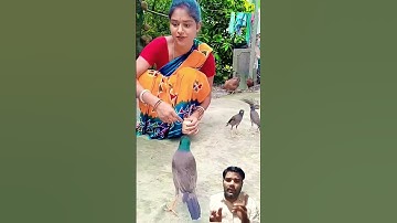 Thumbnail of Woman feeding birds. #funny #parrot #birds #monkeysr #comedy #cute #love #pets #monkey #song
