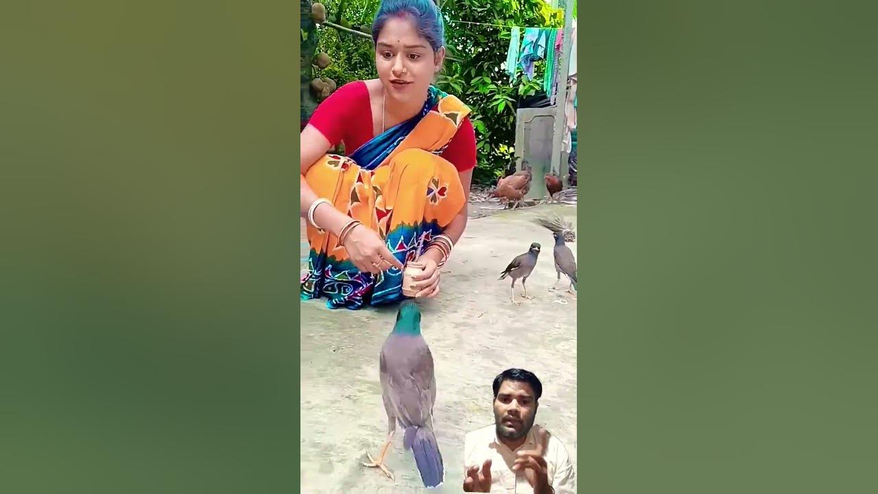 Woman feeding birds. #funny #parrot #birds #monkeysr #comedy #cute #love #pets #monkey #song