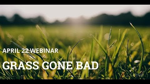 Grass Gone Bad: New Invasive Species of Concern to BC