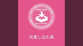 Download Lagu 光差し込む森 Download Lagu 光差し込む森