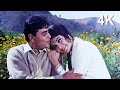Mera Pyar Bhi Tu Hai | Saathi Movie 4K Song | Rajendra Kumar &amp; Vyjayanthimala | Mukesh &amp; Suman