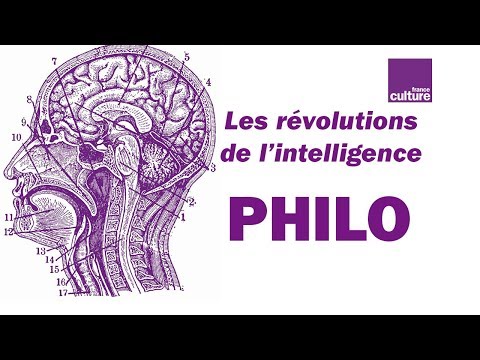 Vidéo: Le Cerveau Perçoit Les Fantasmes Presque Comme La Réalité - Vue Alternative