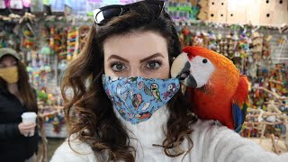 We Went to The Perfect Parrot and I Met the Cutest Baby Macaw! | Marlene Mc'Cohen